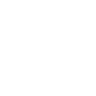 Item artwork