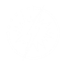 Item artwork