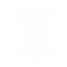 Item artwork