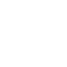 Item artwork