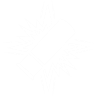 Item artwork