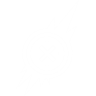 Item artwork