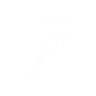 Item artwork