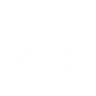 Item artwork