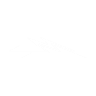 Item artwork