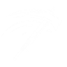 Item artwork