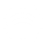 Item artwork