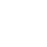 Item artwork