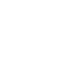 Item artwork