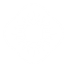 Item artwork
