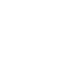 Item artwork
