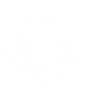 Item artwork