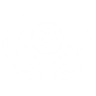 Item artwork