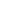 Item artwork