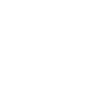 Item artwork