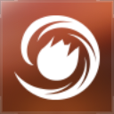 Item artwork
