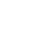 Item artwork