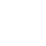 Item artwork
