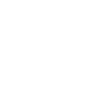 Item artwork