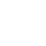 Item artwork