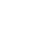 Item artwork