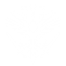 Item artwork